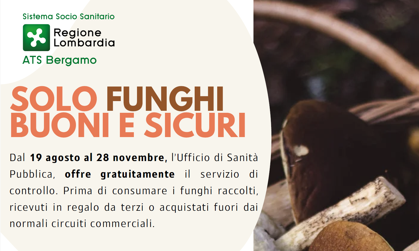 Immagine che raffigura Solo funghi buoni e sicuri